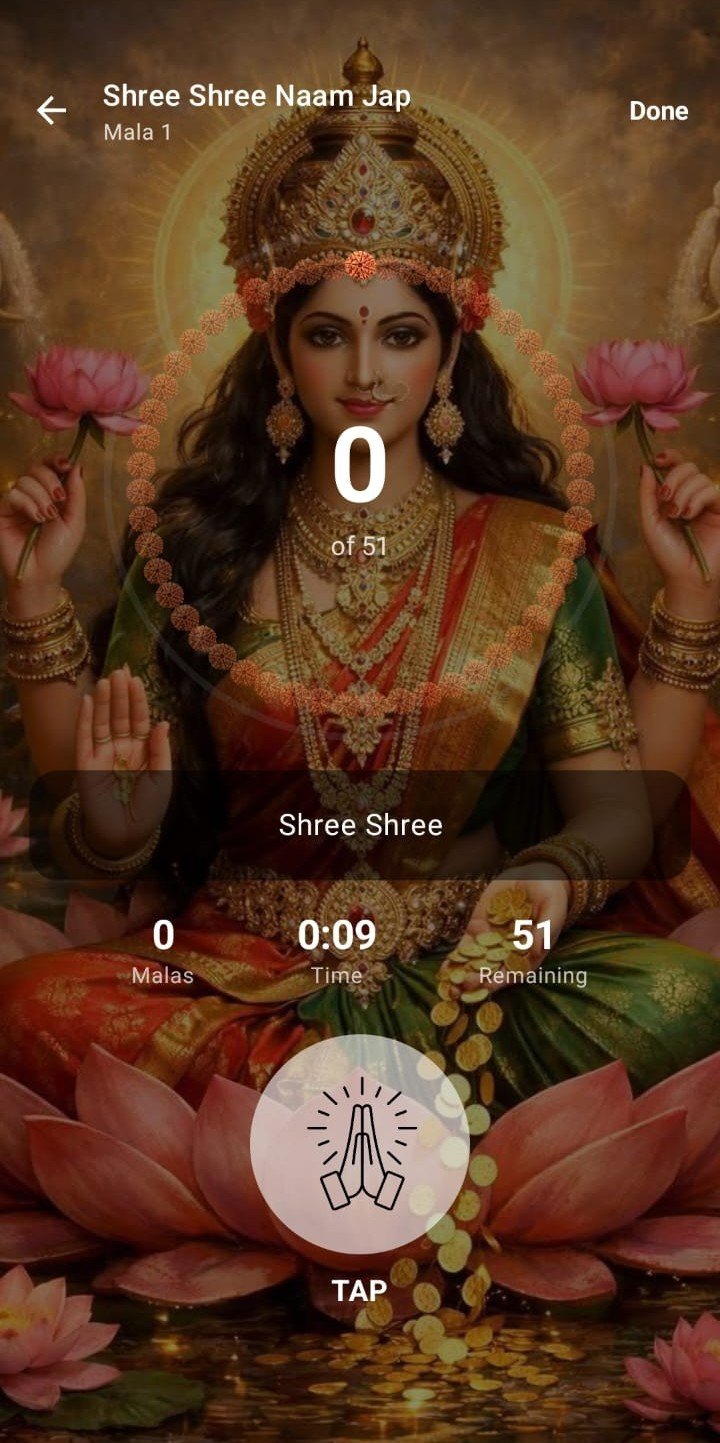 Naam Jap App - Progress tracking dashboard showing daily japa counts and streaks